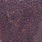 Preview: Pfeffer schwarz ganz